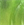 0001_Spro_Little_John_DD_60__[Real_Perch].jpg